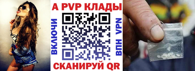 A-PVP СК  Анадырь 