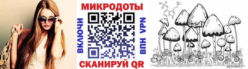 даркнет сайт Анадырь Псилоцибиновые грибы Magic Shrooms